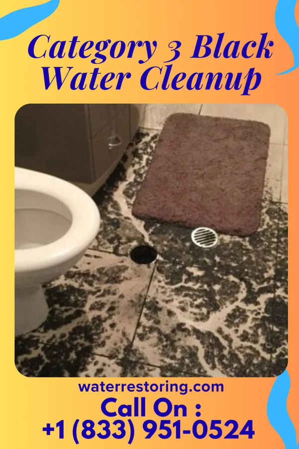 Category 3 Black Water Cleanup in Wilson, LA