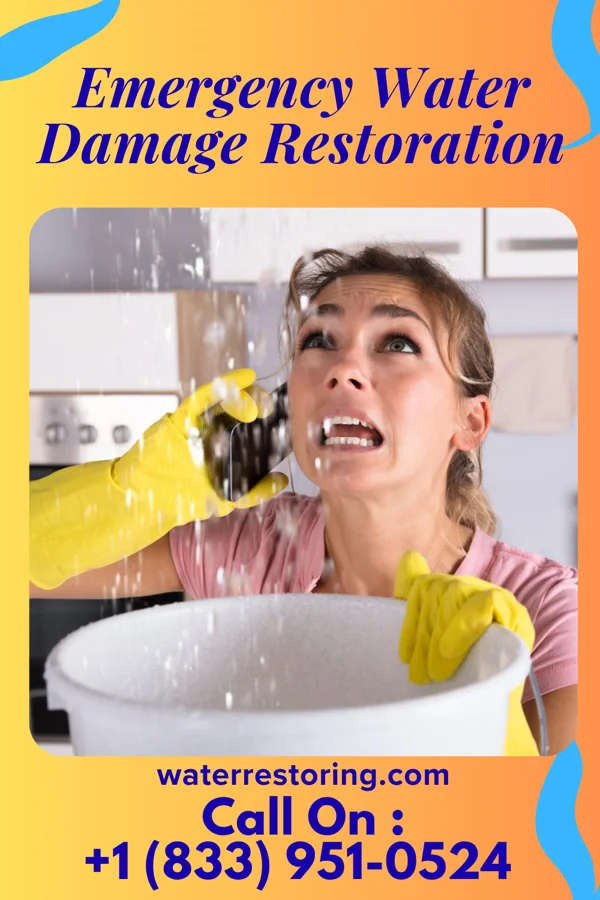 Emergency Water Damage Restoration in Wilson, LA