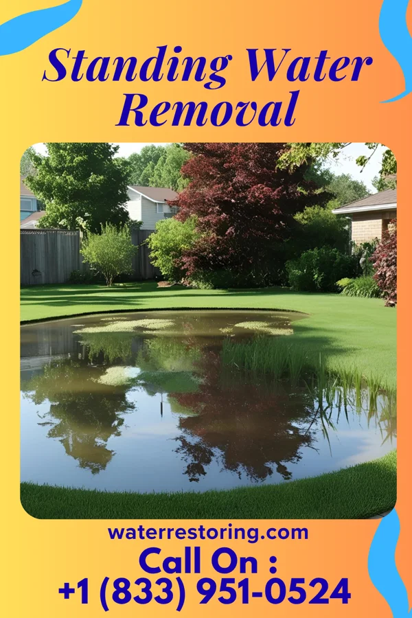 Standing Water Removal in Wilson, LA